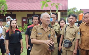 Gerakan Tanam Pohon Serentak, Upaya Rehabilitasi Lahan Kritis