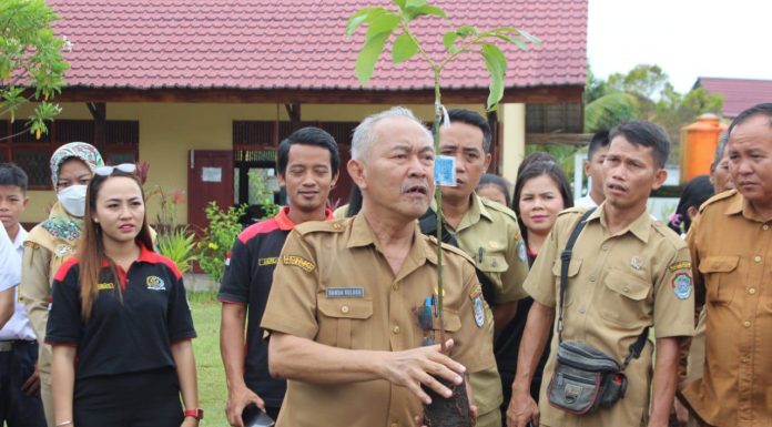 Gerakan Tanam Pohon Serentak, Upaya Rehabilitasi Lahan Kritis