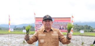 Samuel Tanam Padi Perdana Serentak di Desa Pakumbang