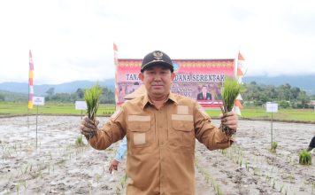 Samuel Tanam Padi Perdana Serentak di Desa Pakumbang