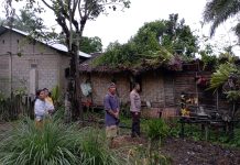 Pohon Tumbang Timpa Rumah Warga di Songga
