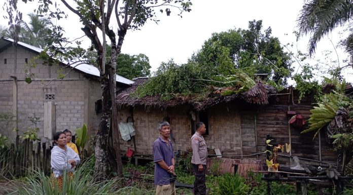 Pohon Tumbang Timpa Rumah Warga di Songga