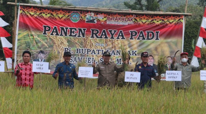 Samuel : Kabupaten Landak Salah Satu Lumbung Beras di Provinsi Kalbar