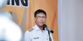 Wabup Farhan : Penanganan Stunting Tanggung Jawab Bersama