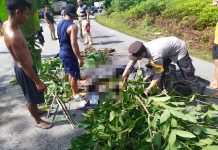 Wanita Muda Warga Landak Meninggal Dunia Dalam Kecelakaan Maut di Jalan Trans Kalimantan