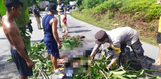 Wanita Muda Warga Landak Meninggal Dunia Dalam Kecelakaan Maut di Jalan Trans Kalimantan