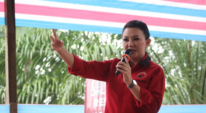 Karolin minta Panglima TNI tindak pelaku penusukan warga Landak di Jakarta