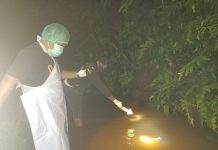 Miris Warga Sengah Temila Digegerkan Dengan Penemuan Mayat Bayi