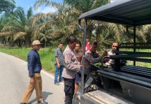 Lakalantas Sepeda Motor dan Mobil, Kapolsek Mandor Turun Bantu Evakuasi Korban