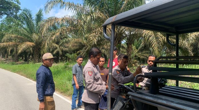Lakalantas Sepeda Motor dan Mobil, Kapolsek Mandor Turun Bantu Evakuasi Korban