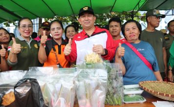 Senam Masal, Hingga Pameran Kuliner Meriahkan Rangkaian HUT RI ke-78 di Landak