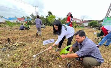 PMI Landak Tanam 500 Pohon