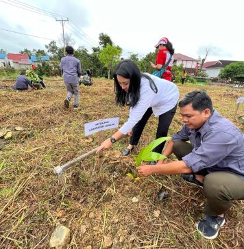 PMI Landak Tanam 500 Pohon