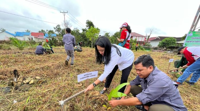 PMI Landak Tanam 500 Pohon