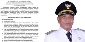 Pemkab Ketapang Umumkan Seleksi PPPK Tahun 2023, Pelamar Diminta Teliti Administrasi