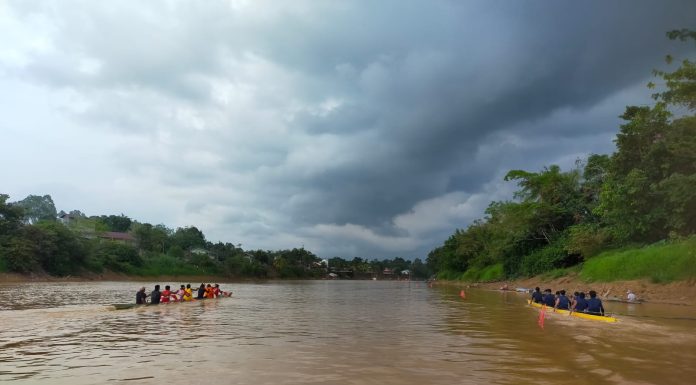 Lomba Sampan Bidar Meriahkan Rangkaian Festival Budaya Robo-Robo di Landak