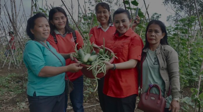 Karolin Hadiri Panen Raya Kebun PKK Desa Sidas