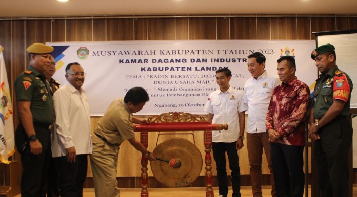 Kadin Dinilai Punya Peran Strategis Membangun Perekonomian Daerah
