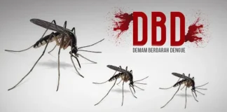 Waspada Kasus DBD di Landak Meningkat, Ngabang Tempati Posisi Kasus Tertinggi