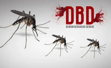 Waspada Kasus DBD di Landak Meningkat, Ngabang Tempati Posisi Kasus Tertinggi