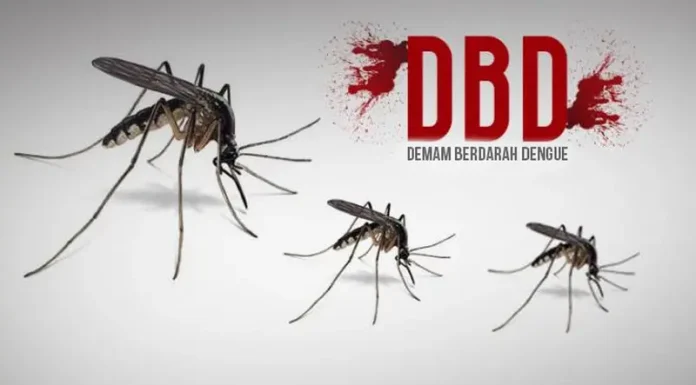 Waspada Kasus DBD di Landak Meningkat, Ngabang Tempati Posisi Kasus Tertinggi