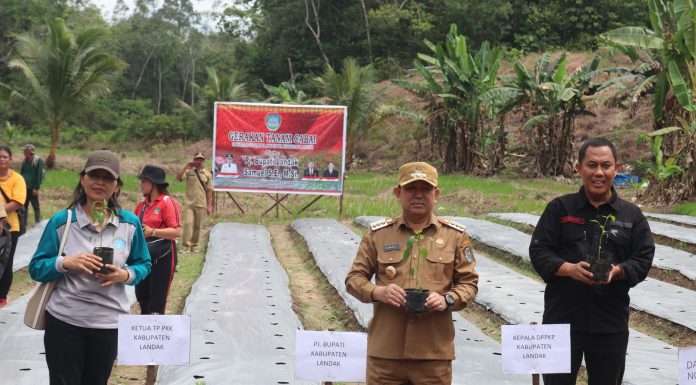 Gerakan Taman Cabai, Salah Satu Upaya Pemkab Landak Tekan Inflasi Dibidang Pertanian