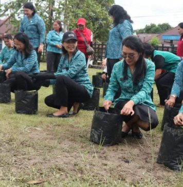 Gerakan Tanam Cabai PKK Landak Peringati HKG – PKK Ke 52