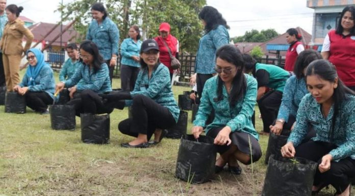 Gerakan Tanam Cabai PKK Landak Peringati HKG – PKK Ke 52