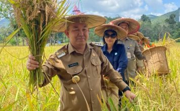 Panen Raya Padi di Angan Tembawang, Samuel Minta Petani Kelola Lahan Tidur