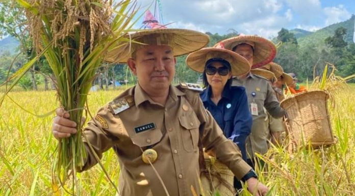 Panen Raya Padi di Angan Tembawang, Samuel Minta Petani Kelola Lahan Tidur