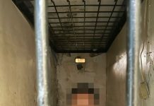 Oknum Kades di Ketapang Diduga Cabuli Bocah Dibawah Umur