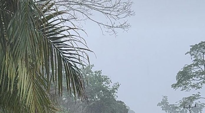 Banjir Rendam Sejumlah Desa di Kecamatan Air Besar