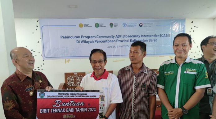 Cegah Wabah Penyakit Pada Babi Melalui Penerapan Biosecurity