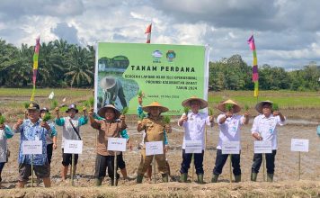 Samuel Hadiri Tanam Perdana Padi dan Buka Sekolah Lapangan Iklim Operasional Provinsi Kalbar