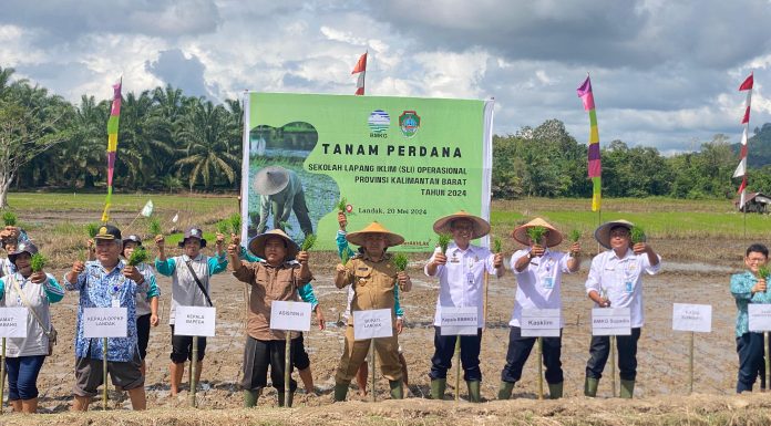 Samuel Hadiri Tanam Perdana Padi dan Buka Sekolah Lapangan Iklim Operasional Provinsi Kalbar