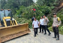 Dua Alat Berat Dikerahkan Bersihkan Material Lonsor Tutup Badan Jalan di Dusun Tapis Tembawang