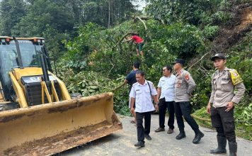 Dua Alat Berat Dikerahkan Bersihkan Material Lonsor Tutup Badan Jalan di Dusun Tapis Tembawang