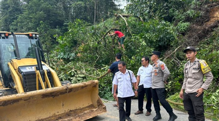 Dua Alat Berat Dikerahkan Bersihkan Material Lonsor Tutup Badan Jalan di Dusun Tapis Tembawang