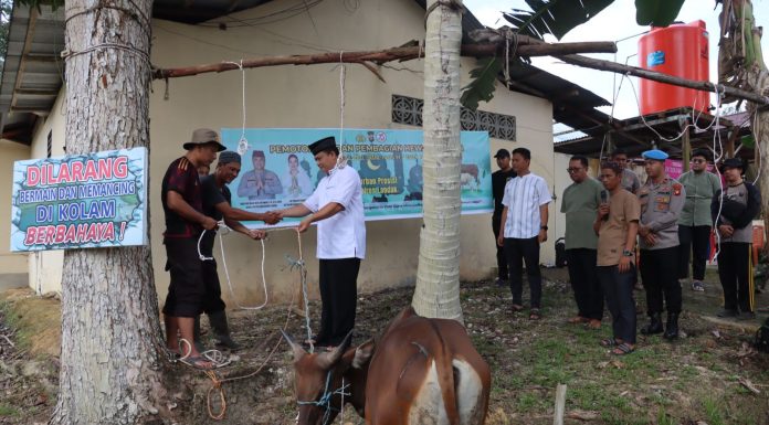 Berbagi Kebahagiaan Dihari Raya Idul Adha 1446 Hijriah, Polres Landak Qurban Sapi dan Kambing