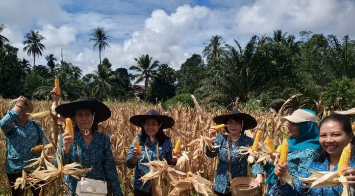 Pj. Ketua TP- PKK Landak Atensikan Penurunan Stunting Saat Lakukan Pembinaan TP PKK di Menyuke