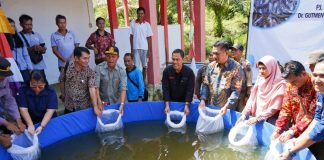 Warga Desa Mandor Kiru Terima Bantuan Benih Ikan Lele