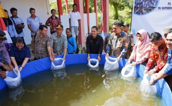 Warga Desa Mandor Kiru Terima Bantuan Benih Ikan Lele