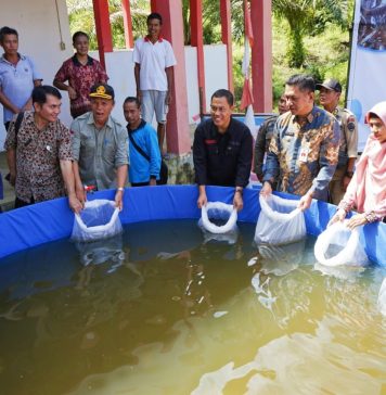 Warga Desa Mandor Kiru Terima Bantuan Benih Ikan Lele