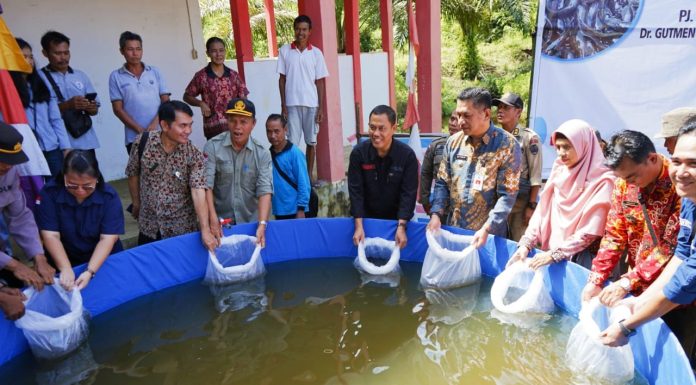 Warga Desa Mandor Kiru Terima Bantuan Benih Ikan Lele