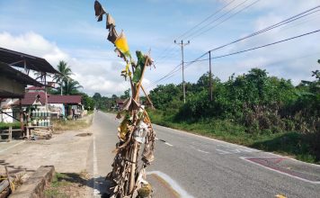 Rawan Picu Kecelakaan, Warga Senakin Tanam Pohon Pisang Dijalan Berlubang