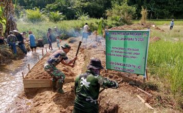 Babinsa Koramil 1210-02/MPH Hulu Beri Pendampingan Pengerjaan Oplah