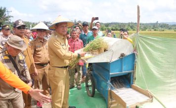 Gutmen Nilai Komoditas Padi Punya Peran Penting Dalam Membangun Ekonomi Daerah