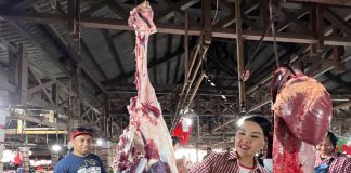 Revitalisasi Pasar Rakyat Ngabang, Masih Jadi Fokus Karolin Jika Kembali Jabat Bupati Landak