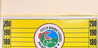 Polisi Bekuk Pengedar Sabu di Menjalin