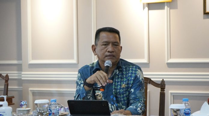 Realisasi Investasi PMA/PMDN Landak Semester I Meningkat